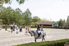 SBA_4658.jpg