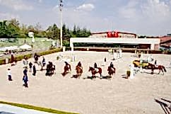 SBA_4695.jpg