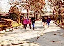 SBA_5449-edit.jpg